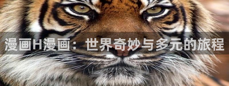 韩国羞羞漫画网页：漫画H漫画：世界奇妙与多元的旅程