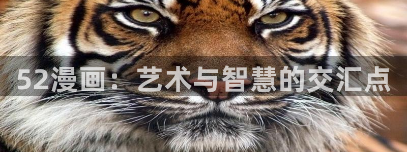 羞羞漫画无遮拦：52漫画：艺术与智慧的交汇点