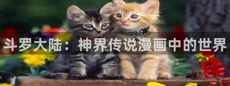 十八羞羞漫画：斗罗大陆：神界传说漫画中的世界
