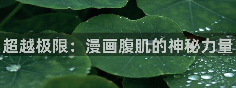 羞羞漫画在线官网：超越极限：漫画腹肌的神秘力量